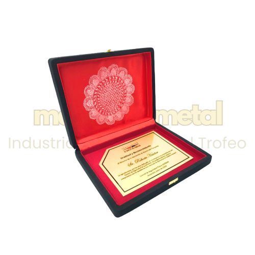 Imagen de Placa de reconocimiento - M3.E.601